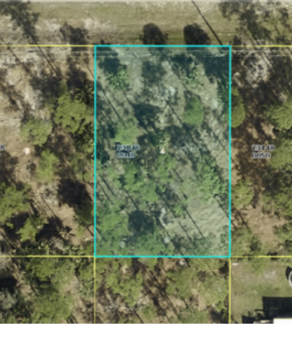 Build Your Florida Home in Booming Southwest Florida: Lee County Lot (SOLD)