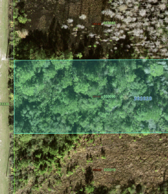 Orlando Pines_033090