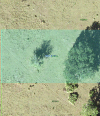 Lake Wales_023120