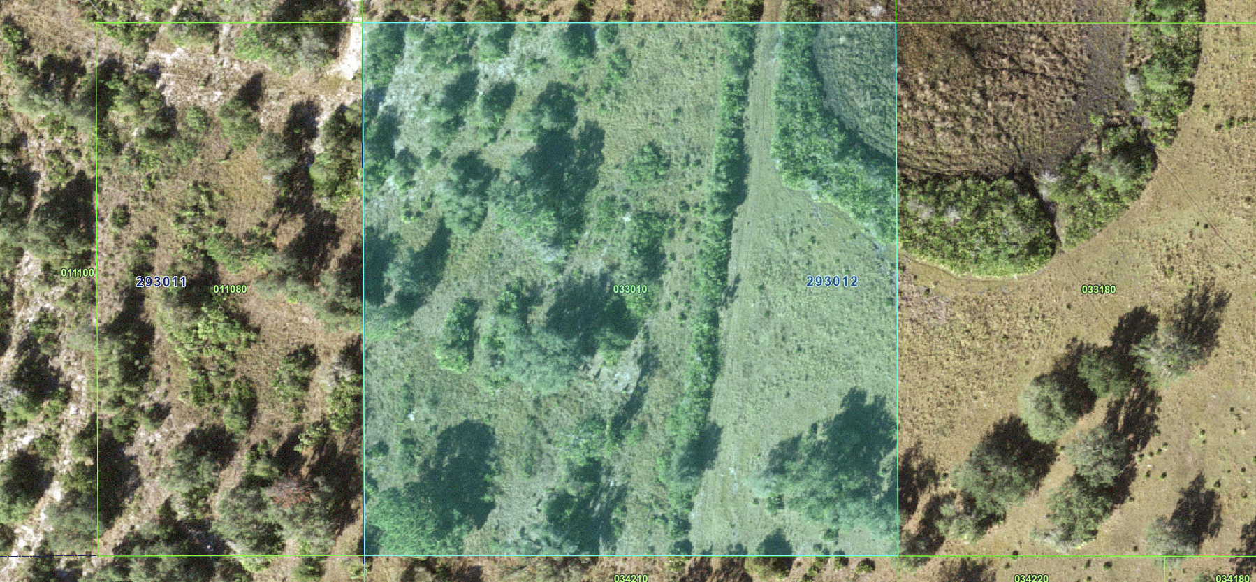Lake Wales_033010 - Image 7