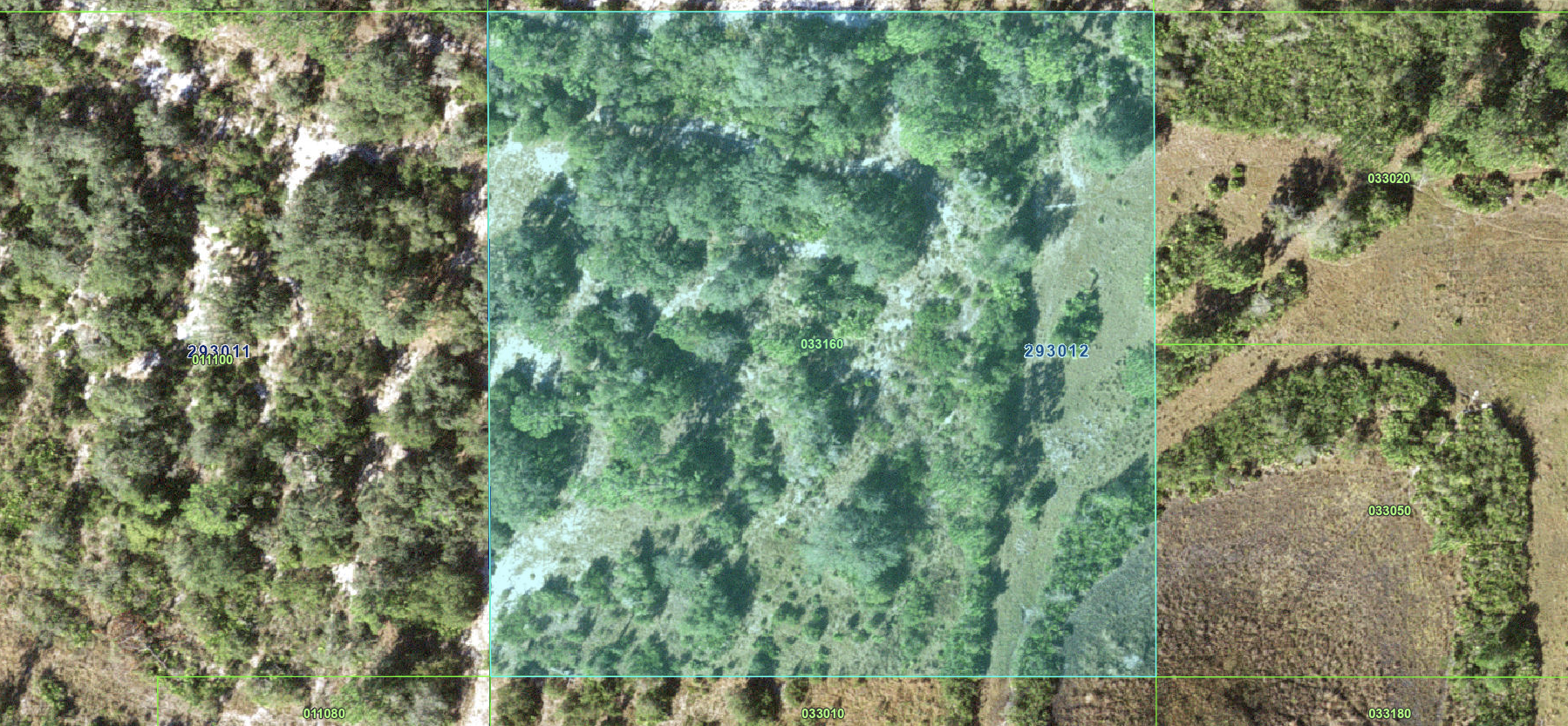 Lake Wales_033010 - Image 6