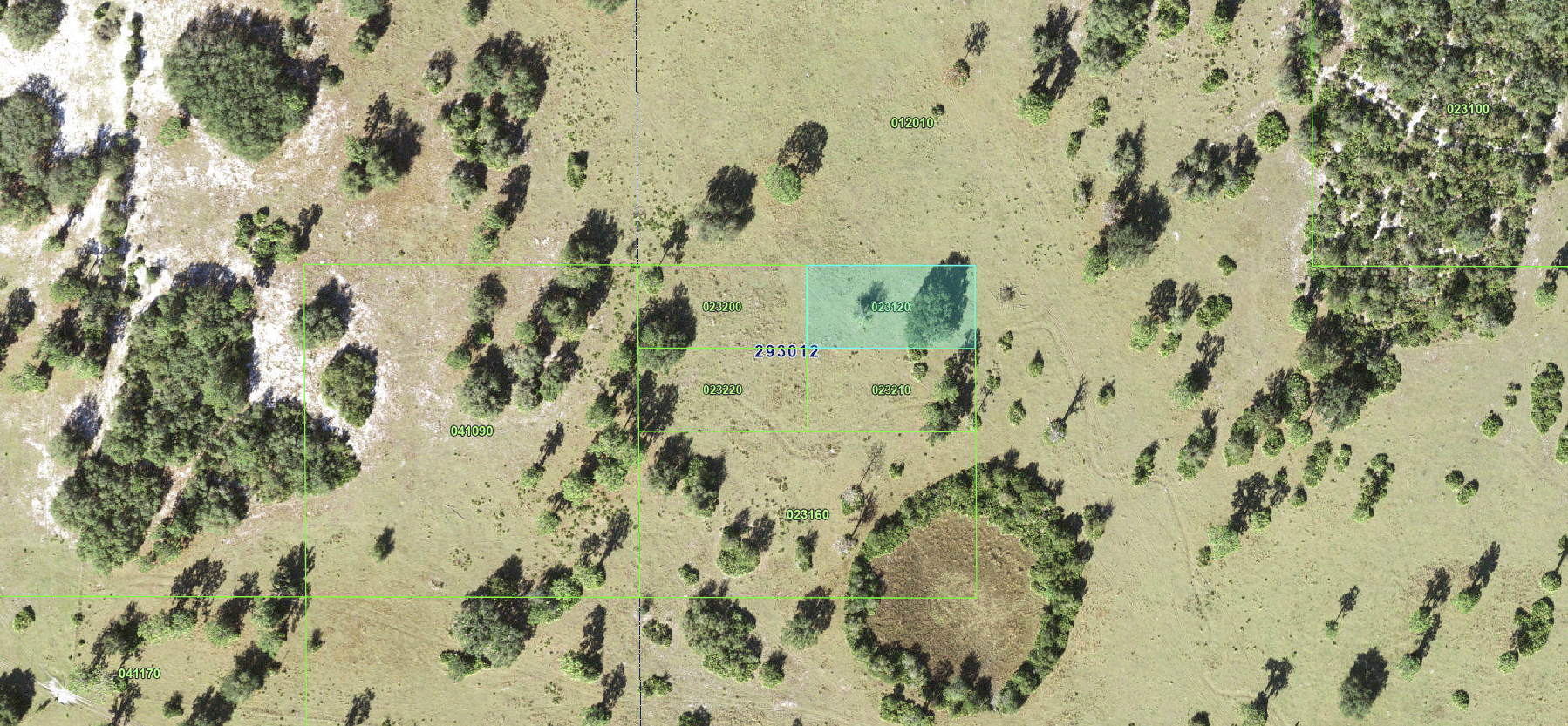 Lake Wales_023120 - Image 2