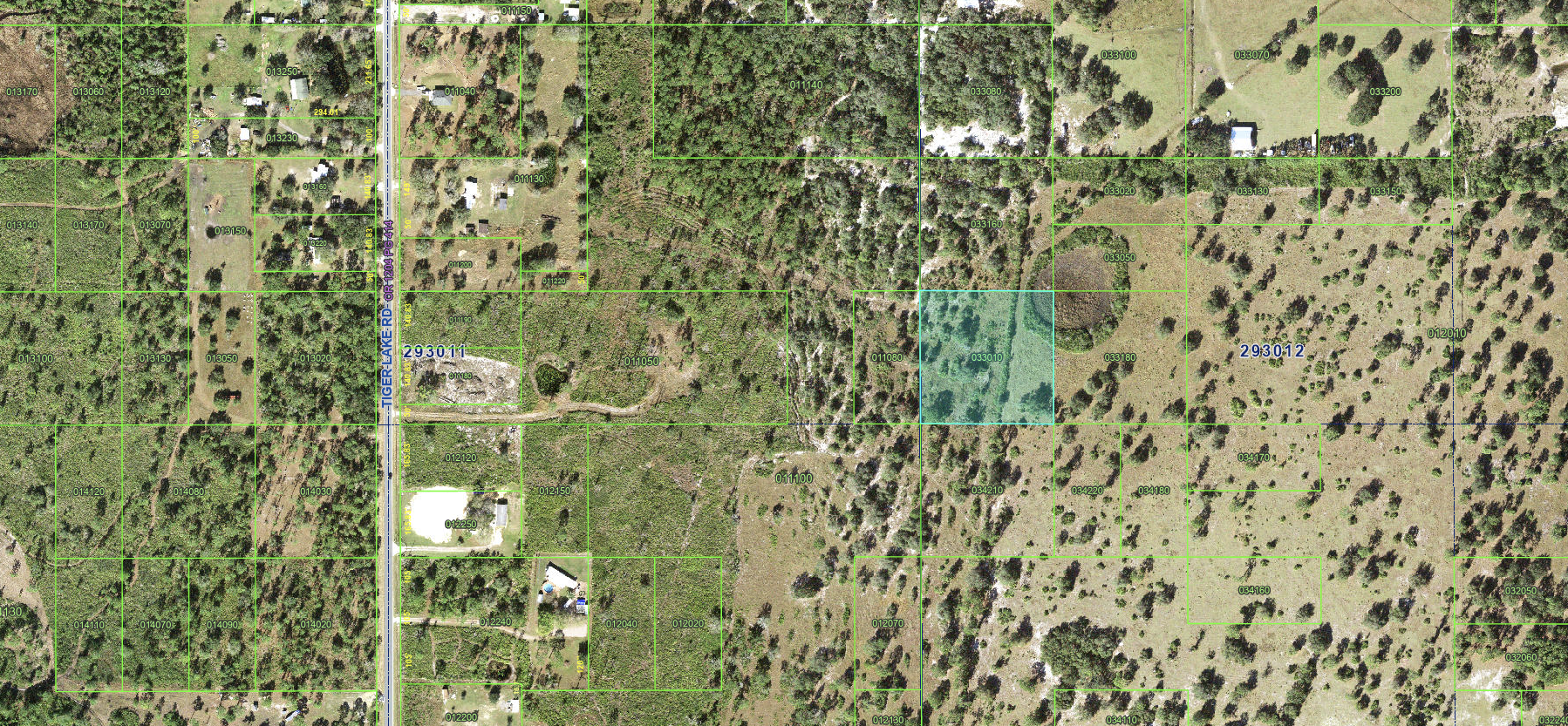 Lake Wales_033010 - Image 5