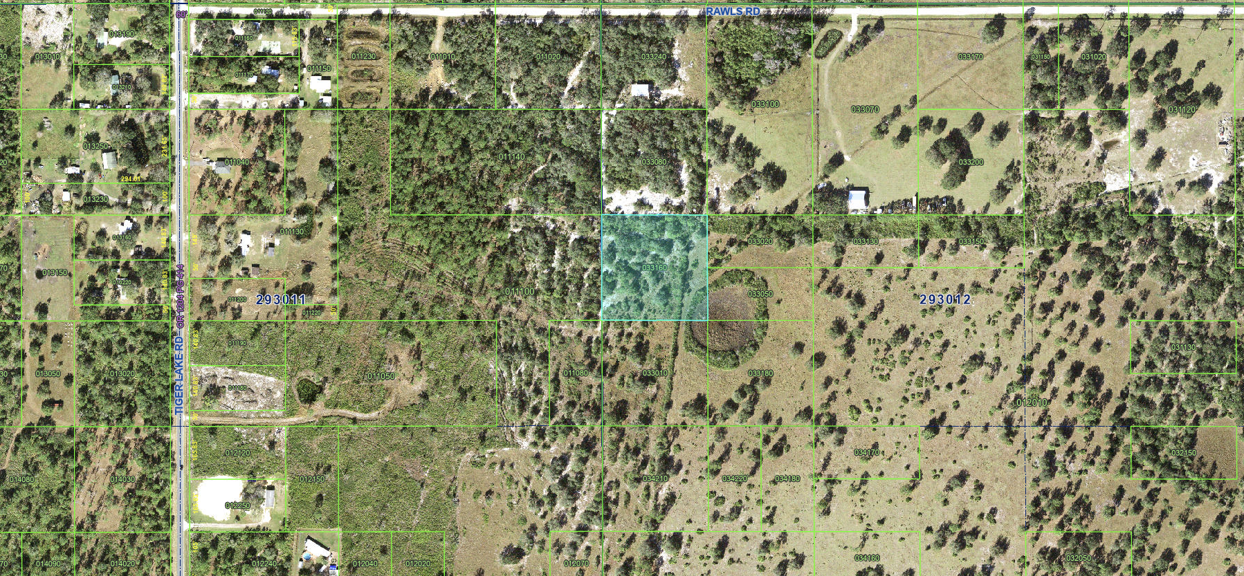 Lake Wales_033010 - Image 4