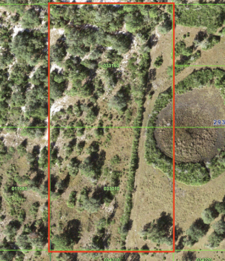 Lake Wales_033010