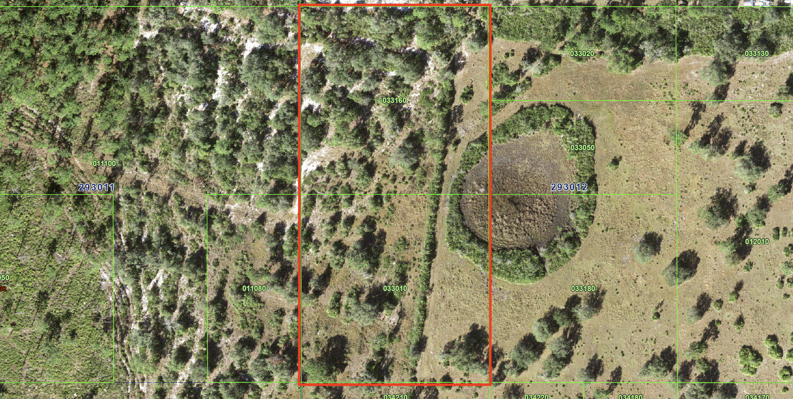 Lake Wales_033010