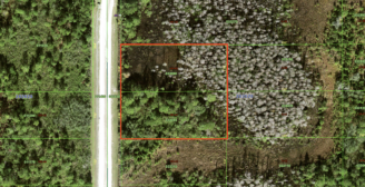 Double Lot Opportunity in Central Florida: More Space, More Possibilities