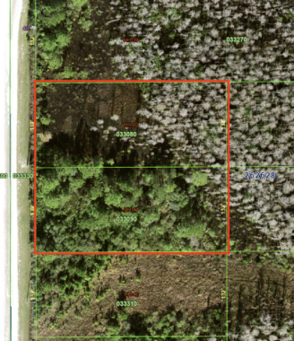 Orlando Pines_033080
