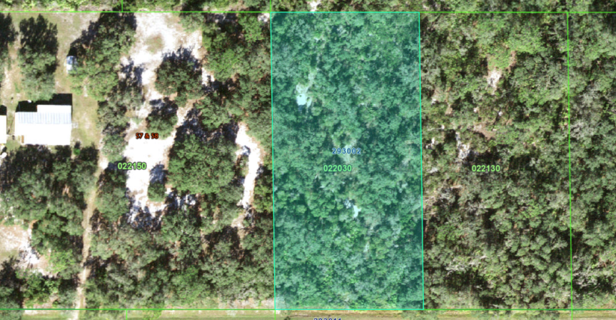 Your Florida Dream Starts Here: Prime Polk County Lot - SOLD - Image 4