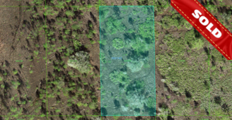 Your Florida Dream Starts Here: Prime Polk County Lot (SOLD)