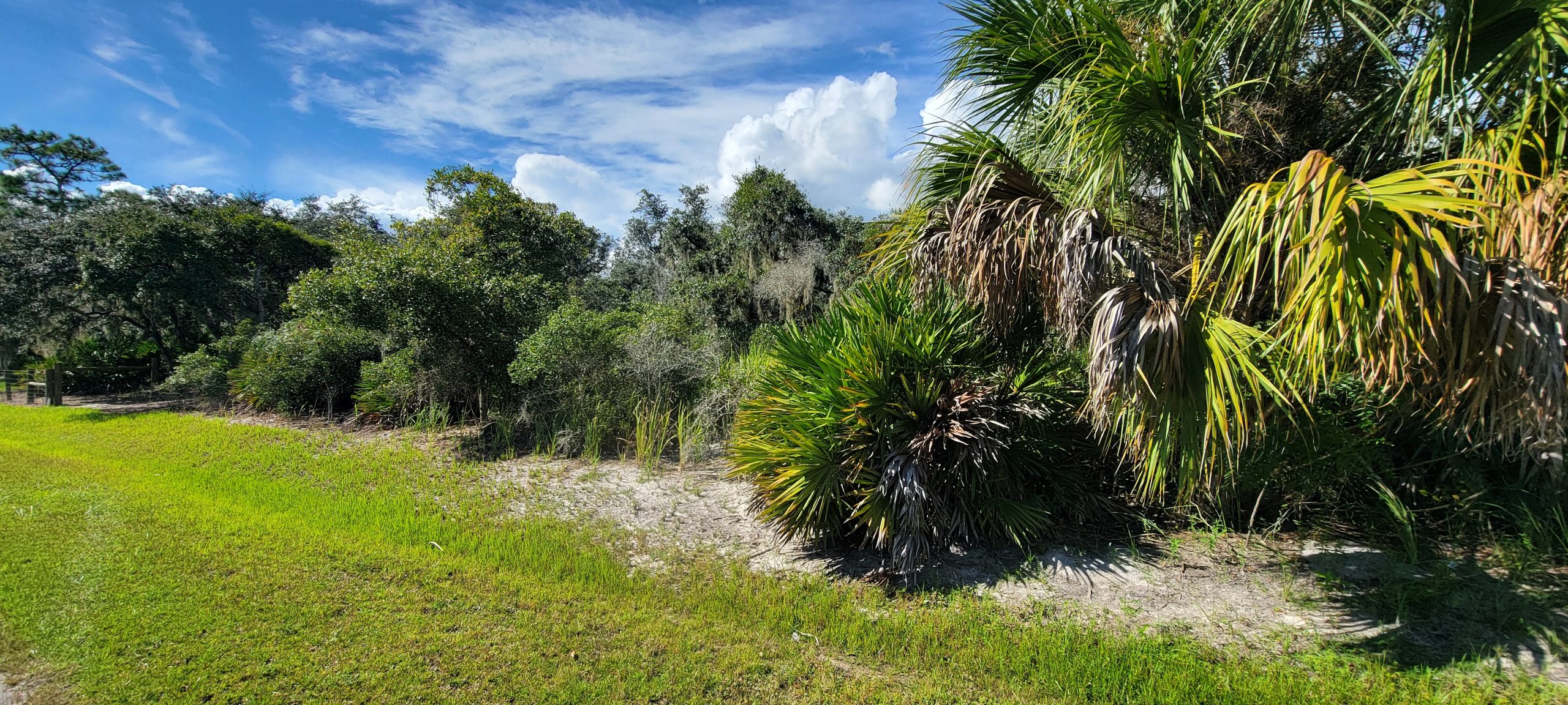 Double the Land, Half the Hassle: Two Adjoining Lots in Polk County - Image 12