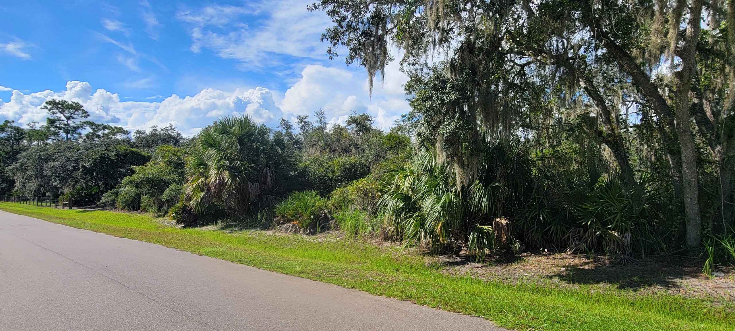 Double the Land, Half the Hassle: Two Adjoining Lots in Polk County - Image 11