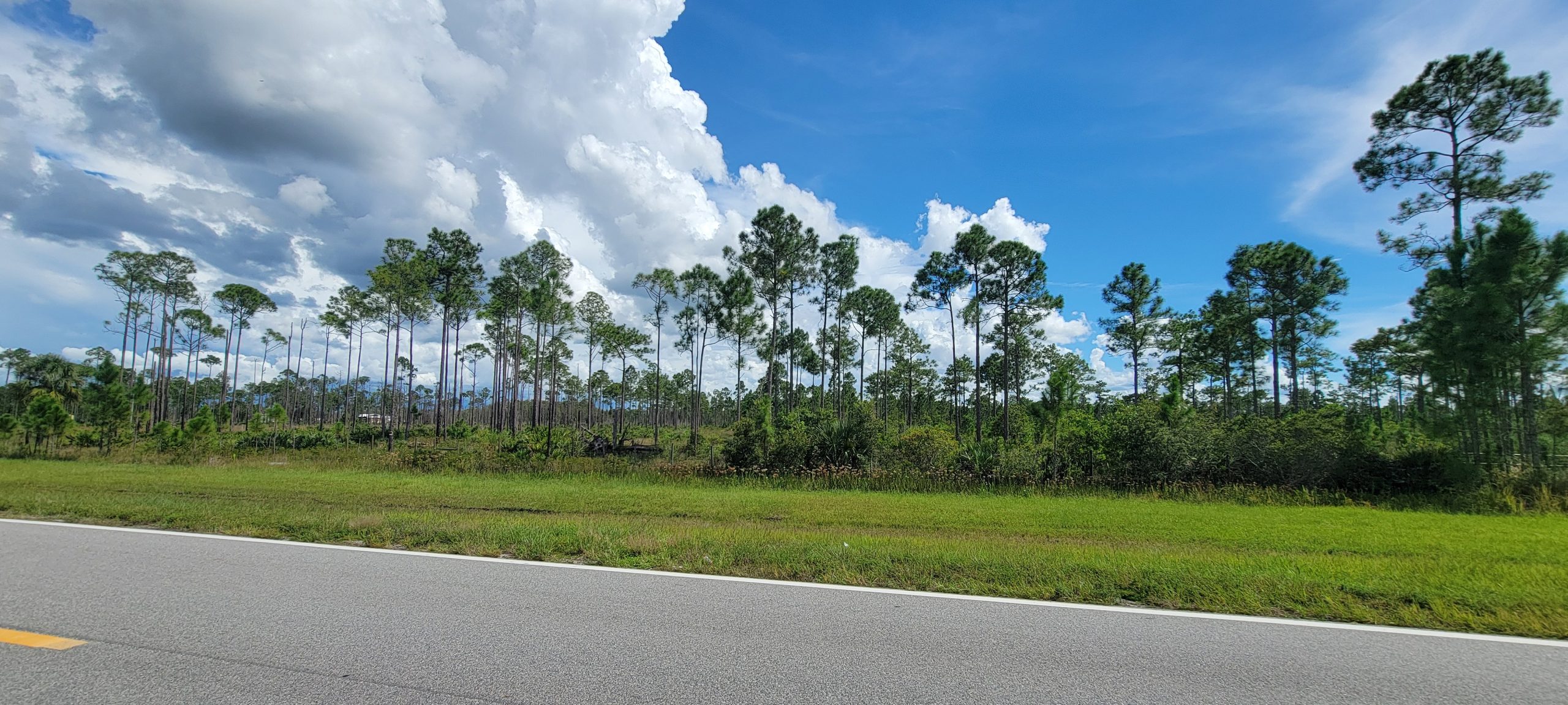 Land for Sale in Polk County, Florida – Great Investment Opportunity - Image 5
