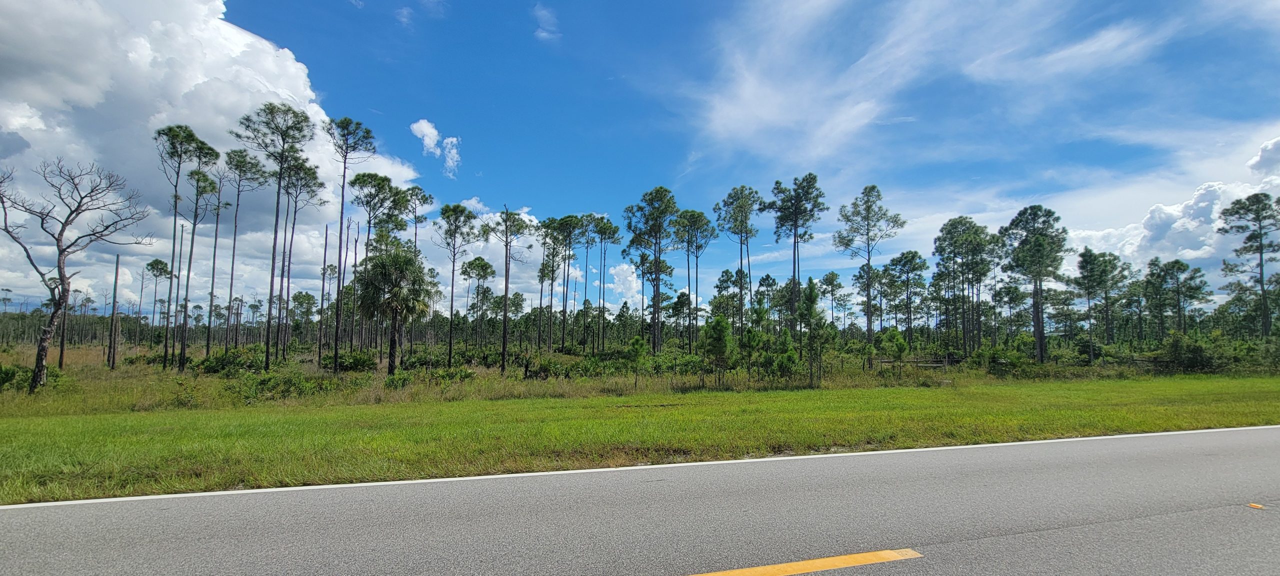 Land for Sale in Polk County, Florida – Great Investment Opportunity