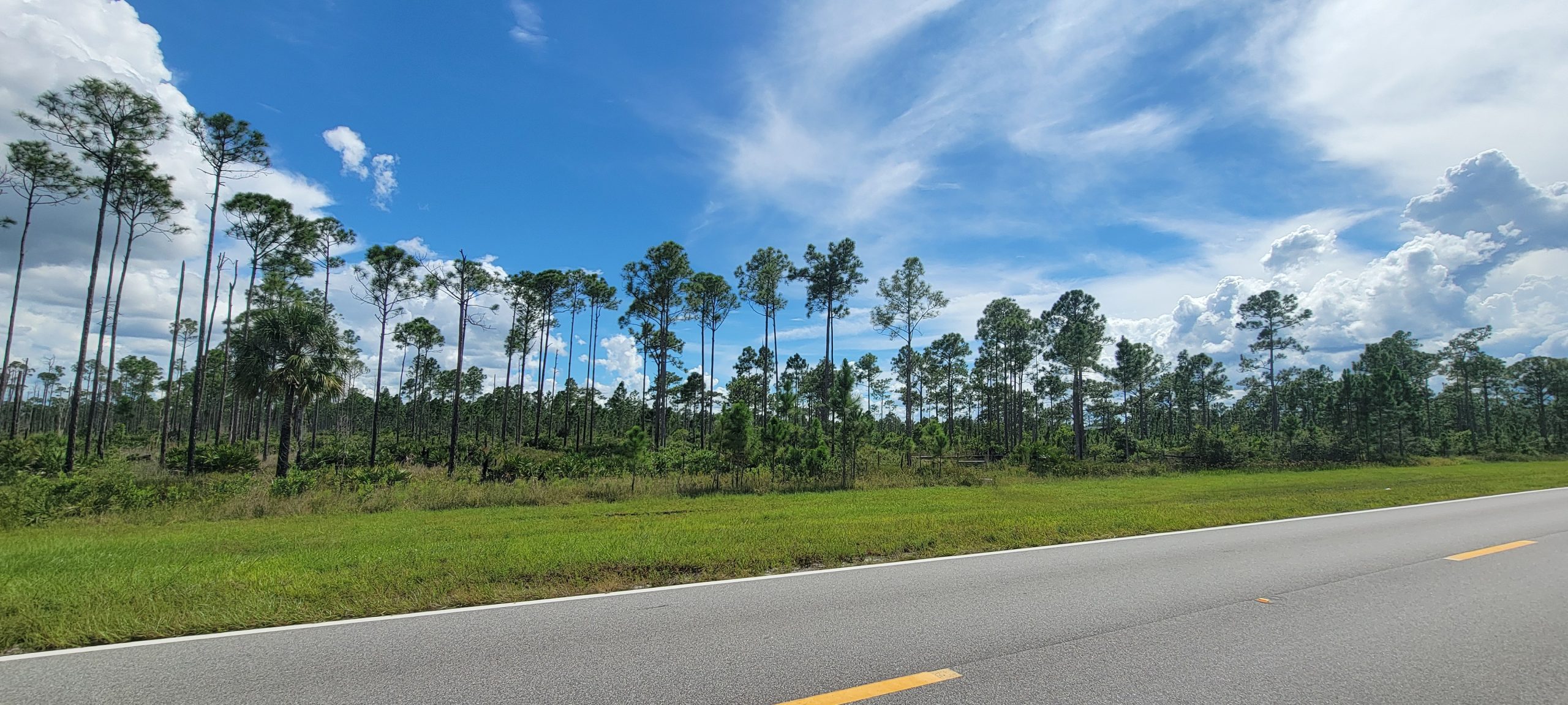 Land for Sale in Polk County, Florida – Great Investment Opportunity - Image 7